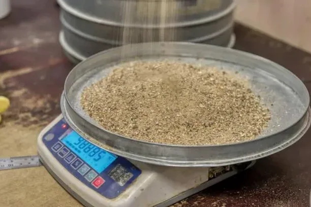 Laboratorio en Chiguayante